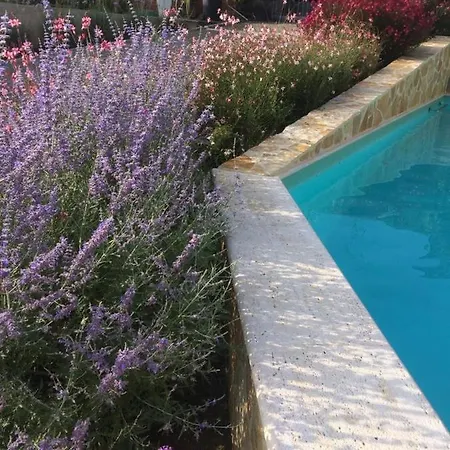 Vigneto * Villastrada (Umbria)