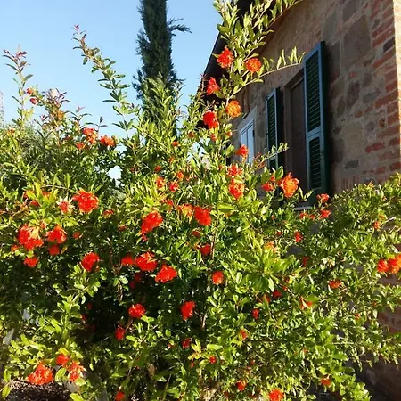Vigneto Villa